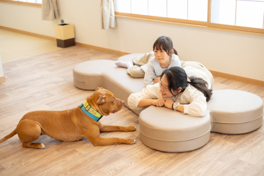 2024年3月に当館で一番広い愛犬と寛ぐ新たなお部屋が誕生！