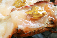 ・三重県を代表する海の幸、伊勢海老料理をご堪能ください