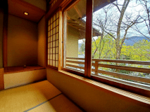 客室からの眺め