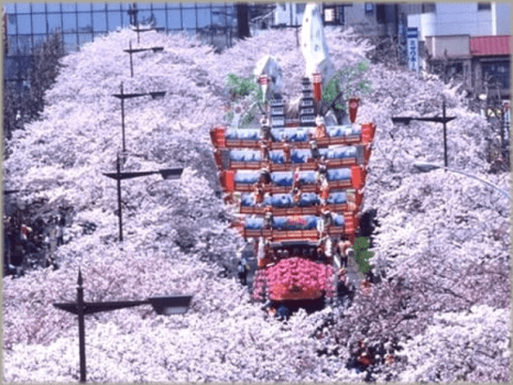 日立さくらまつり　名物の「日立風流物」