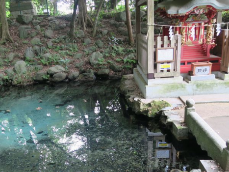 パワースポット　泉が森　湧水　弁天様　はぎ屋から約１ｋｍ　徒歩１５分　車５分