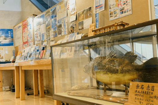 1階ロビーにはパンフレットコーナーがございます。