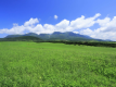【周辺観光地】久住高原