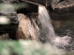 onsen