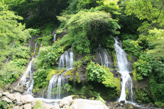 １日乗り降り自由！清里・大泉・野辺山をのんびり巡る清里ピクニックバス１日周遊券付【1泊2食付】
