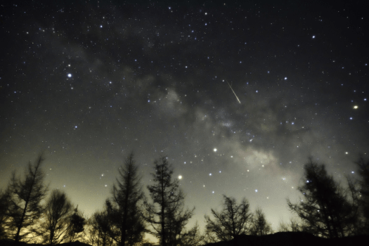 お肉屋さんから直接仕入れるから出来る品質。満足の和牛ステーキコース2食付