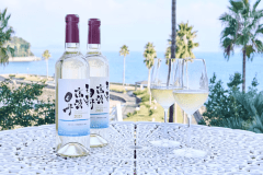 幻のワイン　❝天草　高濱　甲州❞　1グループボトル1本付　特別宿泊プラン