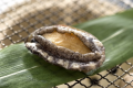 Higher Grade Delicious Food in Amakusa"Akebono" Course