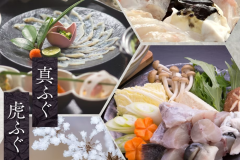 山口県を代表する逸品！＜真ふぐ・虎ふぐ＞ふぐの2大味覚王を1度に贅沢にお楽しみください。