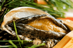 ■活き鮑陶板焼き/目でも舌でも楽しめる！高級食材（イメージ）