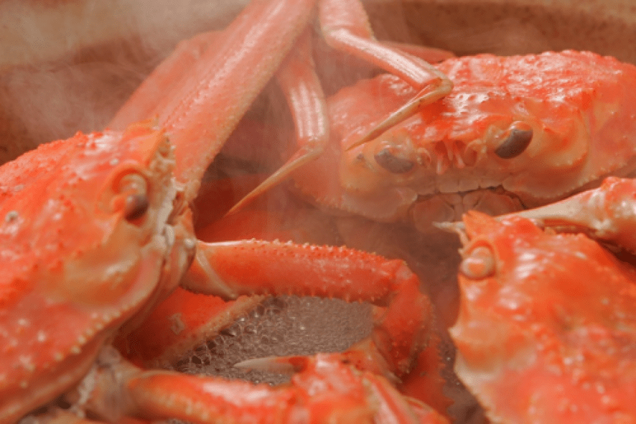 みのり特別感謝プラン【人気の漁師の蒸し蟹＋牛ステーキ付き】平日￥39500～