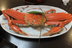 かにでお腹いっぱい！一人かに約3杯！カニフルコース平日￥36800～