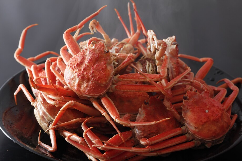 【期間限定】仲睦まじいオス＆メスのカニを贅沢に堪能！冬の美味を味わう夫婦カニフルコース