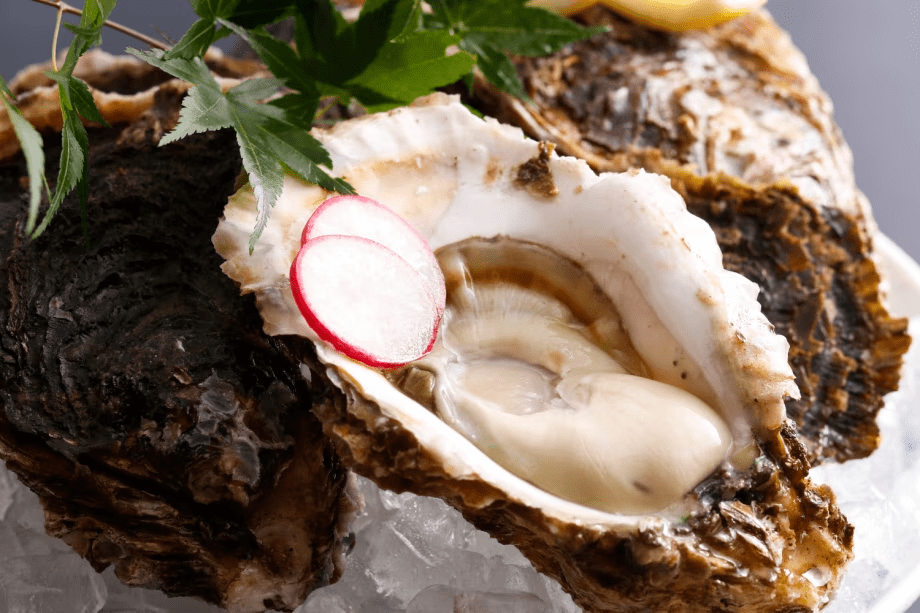 【夏】ぷりぷり濃厚な岩ガキ三昧！初夏の味覚を味わう贅沢会席プラン岩牡蠣会席