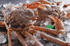 【冬】特選蟹！良質な活蟹を堪能！新鮮な活蟹を味わえる和（なごみ）フルコース