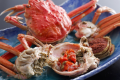 【期間限定】仲睦まじいオス＆メスのカニを贅沢に堪能！冬の美味を味わう夫婦カニフルコース