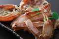 【冬】特選蟹！良質な活蟹を堪能！新鮮な活蟹を味わえる和（なごみ）フルコース