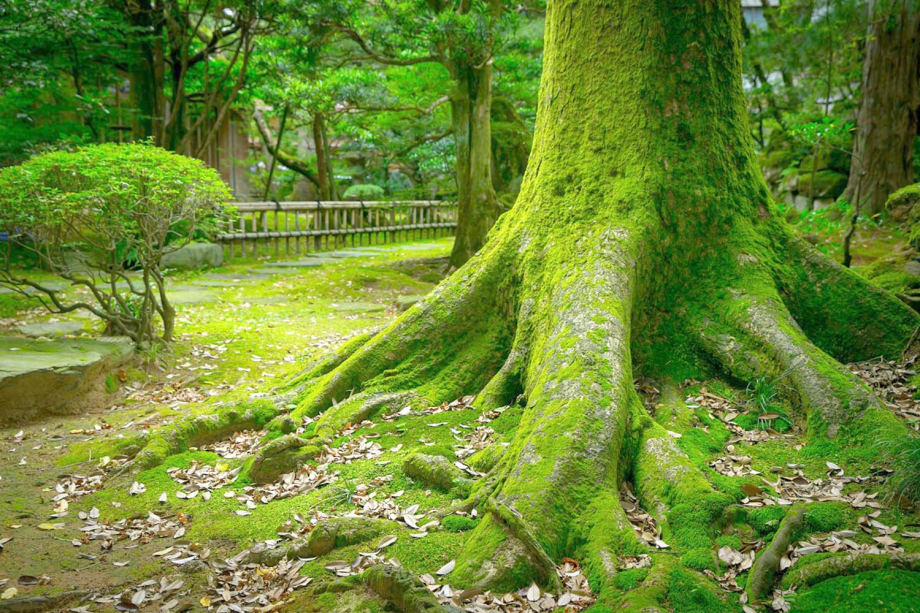 小堀遠州ゆかりの日本庭園 小堀遠州ゆかりの日本庭園