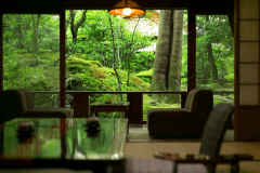 庭園が目の前に広がる1階客室【春の館】8帖以上の和室。※アウトバスタイプ。