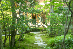 離れ延命閣へと続く日本庭園。