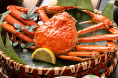 《ズワイ蟹１杯付》堂々と面付き１杯の姿蟹をお召し上がりいただけます。※お料理イメージ