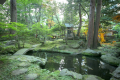苔が美しい小堀遠州ゆかりの日本庭園。夜はライトアップされ散策もできます。