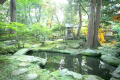 苔が美しい小堀遠州ゆかりの日本庭園。夜はライトアップされ散策もできます。