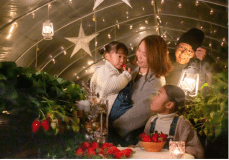 【学生応援プラン～ストロベリーナイト付！～】地元食材を使った和風フレンチでゆったり温泉旅◎｜和風フレンチプラン