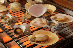 【Japaholic限定：房總海鮮盛宴】網元直送「極上刺身盛」+「房州和牛」＋「私享個室溫泉」特別企劃