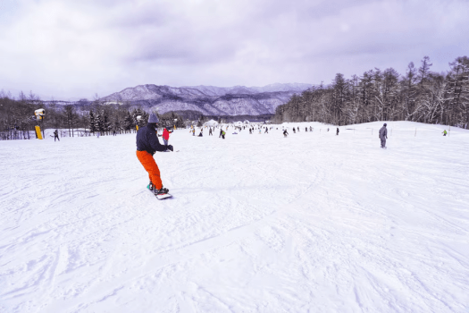 初級者から上級者まで満足できる全12コース！最長滑走距離は3,000m♪