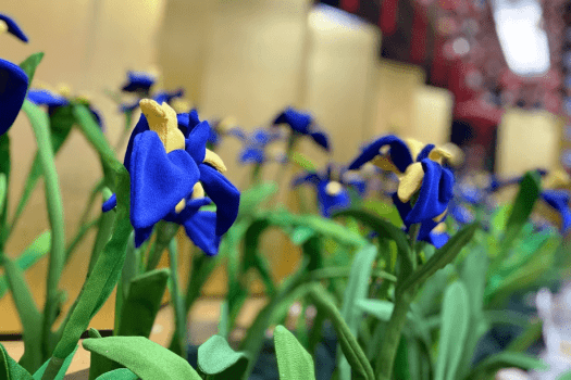 きぬ姫まつり（2026年2月1日～3月3日開催）