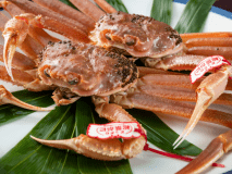 ぎっしりと詰まった身と上品な旨味が楽しめる鳥取を代表する冬の味覚「松葉蟹」をご堪能ください。