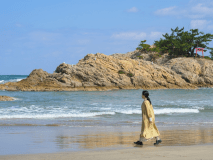 山陰の美しい自然を感じられる浦富海岸は、ジオパークに認定されています。