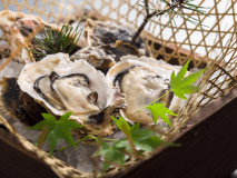 初夏の味覚　～岩牡蠣と地魚を堪能～