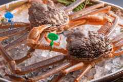 津居山蟹・網野蟹【松葉蟹】