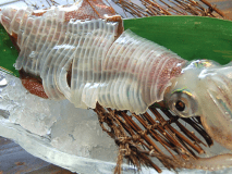 初夏の食材「活烏賊」