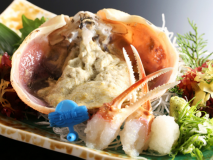 夕日ヶ浦でカニ料理【人気No.1・かにづくしプラン】カニ刺しはタグ付松葉ガニ
