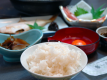 夕日ヶ浦で秋を満喫【地魚料理！漁火焼プラン】旬の舟盛付