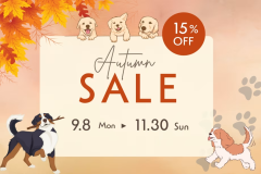 🍁【秋旅応援】愛犬と楽しむ紅葉シーズン旅♪15％OFFプラン🍁<素泊まり>