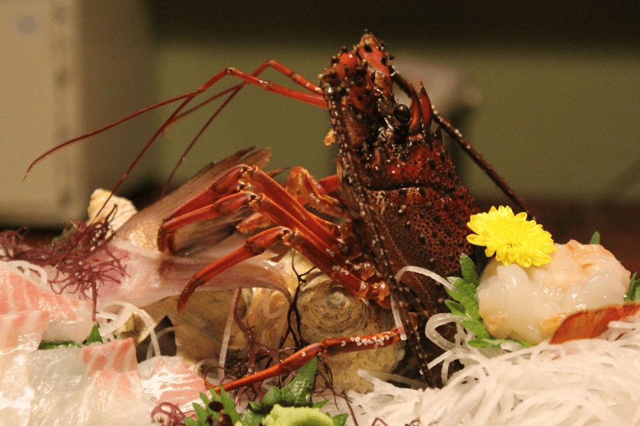 【贅沢食材】伊勢海老コラーゲンでしっとり潤い肌に。