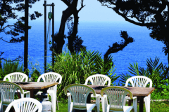 自然の中、海景色。伊豆自然を満喫できるロケーションです。