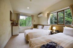 ツインルーム（海の眺望なし）　禁煙　２名部屋