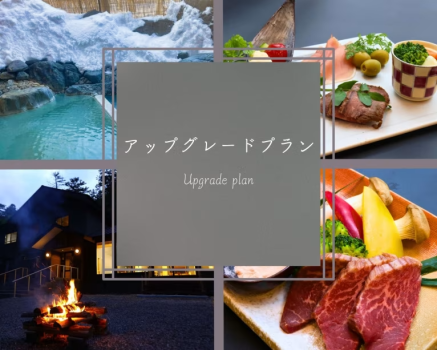アップグレードプラン