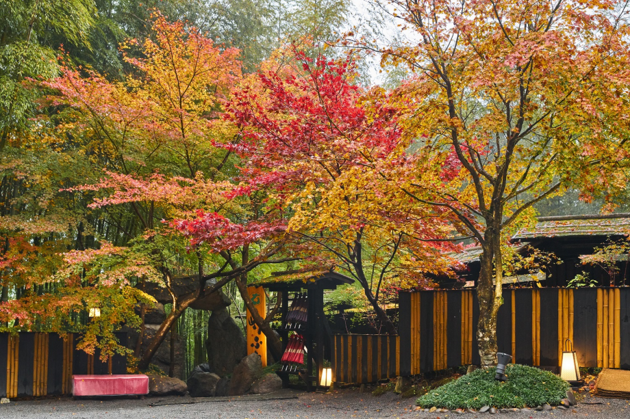 Natural plan in which you can enjoy onsen from the source and water from the bamboo grove. Natural plan in which you can enjoy onsen from the source and water from the bamboo grove.