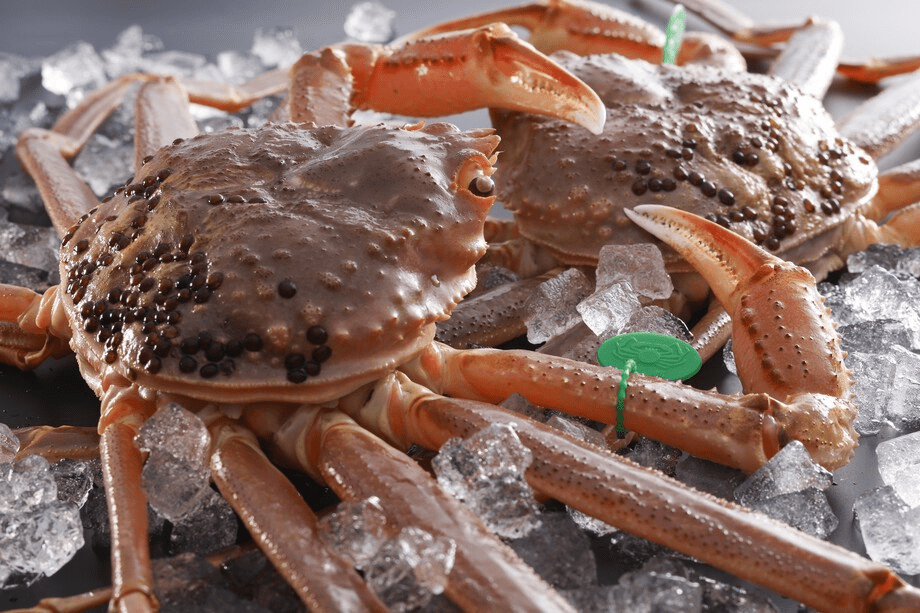 【ベストレート保証】【期間限定】2025解禁記念！お一人5000円引き！800g超え活蟹を味わう和（なごみ）フルコース