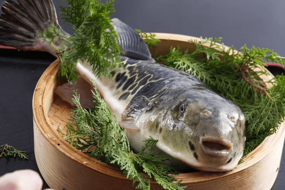 【ベストレート保証】【冬】＜お部屋食＞繊細なふぐ料理で心も体も温まる～ぷりぷりてっさとふぐ鍋、揚げ物まで満喫するふぐ会席