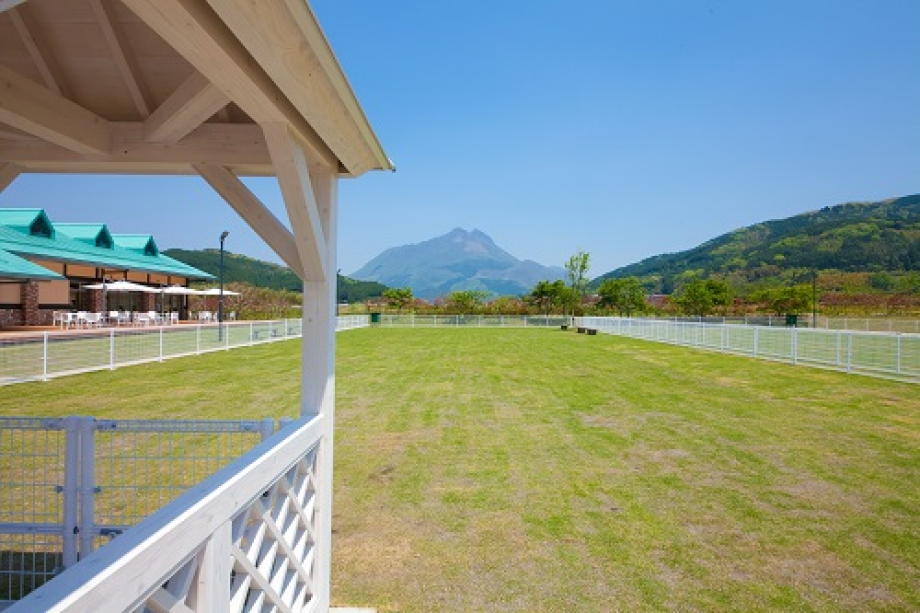 ◆◆お買物券付◆◆【食事なしフリープラン】　由布岳を一望する大パノラマの中で、ゆったりと流れる時間を存分に楽しむプラン