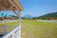 ◆◆お買物券付◆◆【食事なしフリープラン】　由布岳を一望する大パノラマの中で、ゆったりと流れる時間を存分に楽しむプラン