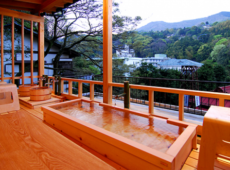 【日帰りでプチ湯治】[お部屋利用でゆったり寛ぐ３時間ステイ　貸切露天無料！