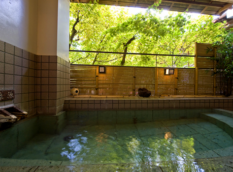 【日帰りでプチ湯治】[お部屋利用でゆったり寛ぐ３時間ステイ　貸切露天無料！